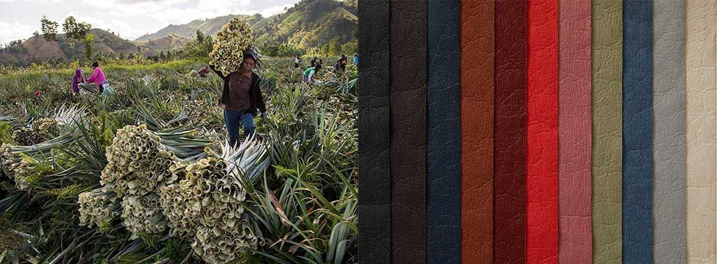 Left: Workers collecting bundles of pineapple leaves. Right: Pinatex in black, browns, reds, greens, and blues.