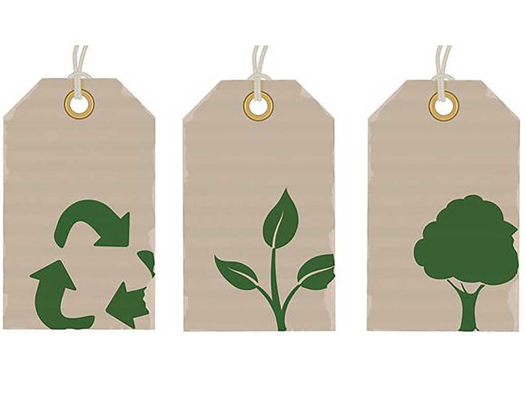 Sustainable Fabrics: Pitfalls and Successes