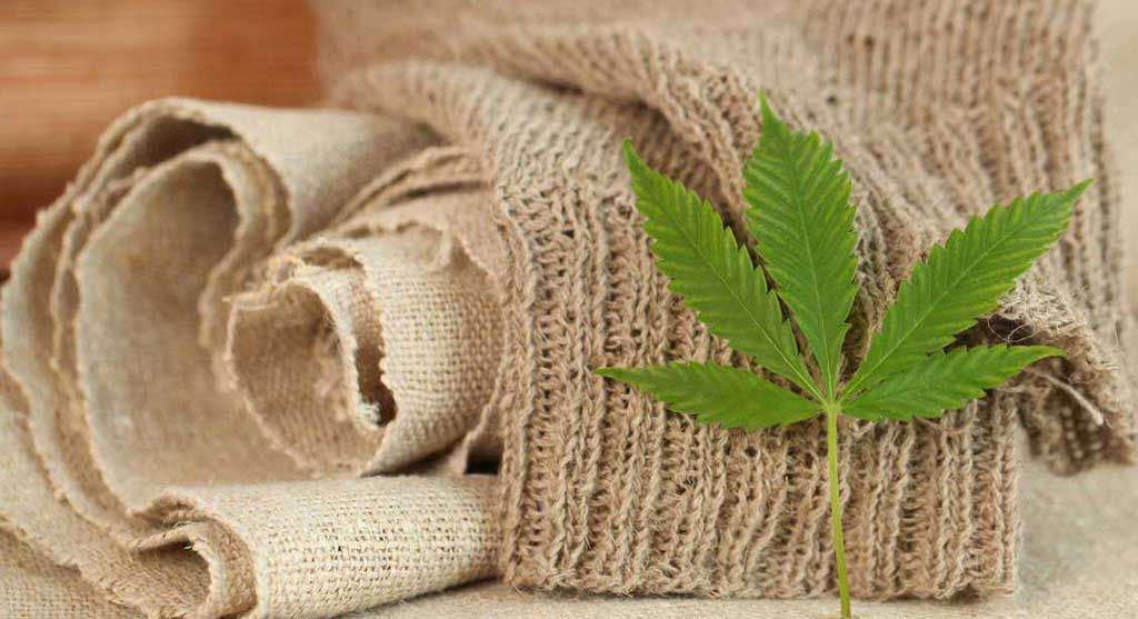 Woven and knit sustainable fabric made from hemp with a stem of the hemp plant in front.
